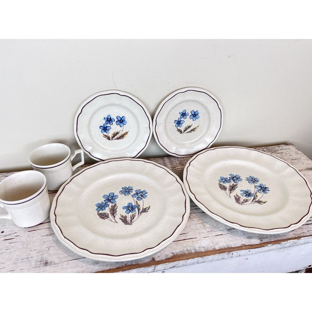 Vintage Kensington Staffordshire Ironstone Dinnerware Set Hyde Park" Pattern